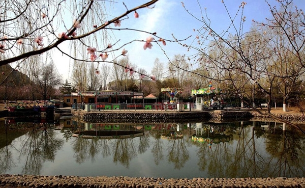 吐血整理干货满满建议收藏,吐血整理的6条建议