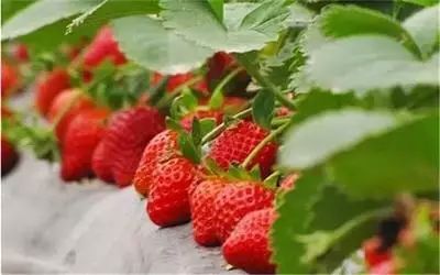 吐血整理干货满满建议收藏,吐血整理的6条建议