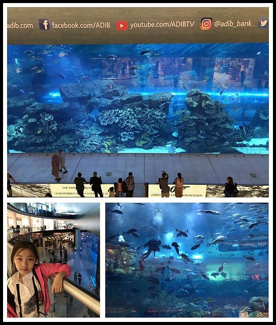 英英自驾旅游,迪拜自驾七日游攻略