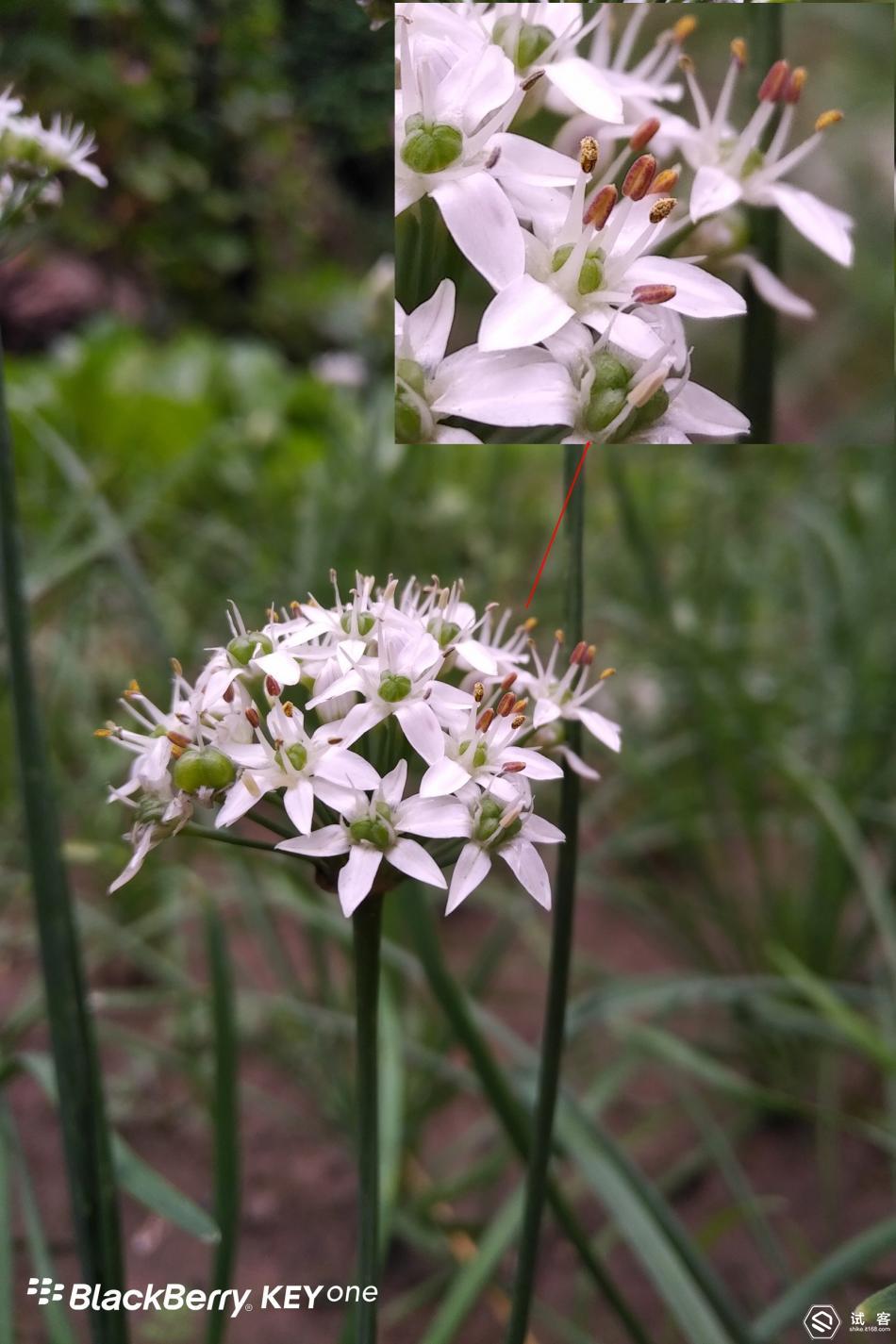 创新和守旧的区别,黑莓手机keyone如何