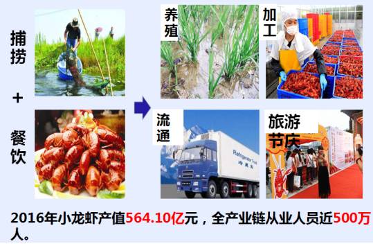 小龙虾最新现状,小龙虾的发展情况