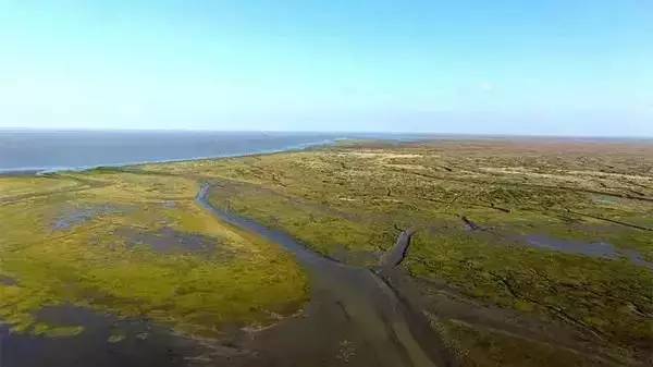 上海一日游古镇最佳路线免费景点,上海周末旅游胜地有哪些