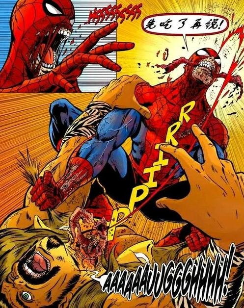 盘点最可爱的小蜘蛛,你见过这样呆萌可爱的小蜘蛛吗