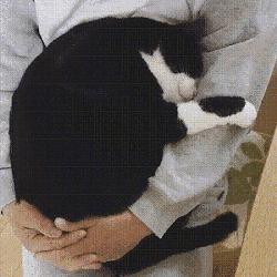 你们几个没氪金的，边儿待着去