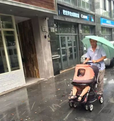 你们几个没氪金的，边儿待着去