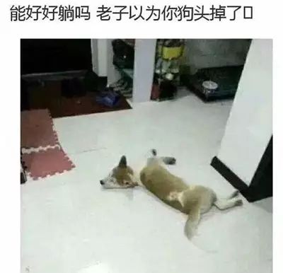 你们几个没氪金的，边儿待着去