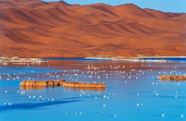 苍天圣地阿拉善全景图,苍天圣地阿拉善左旗