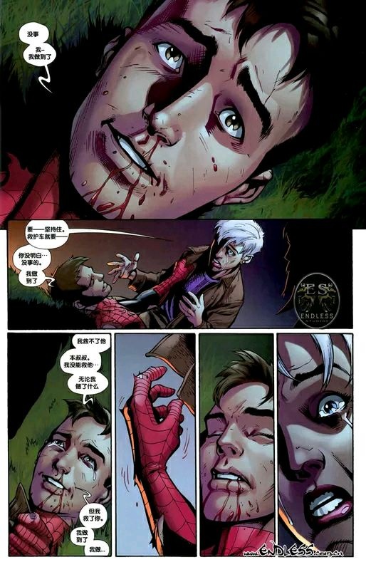 盘点最可爱的小蜘蛛,你见过这样呆萌可爱的小蜘蛛吗