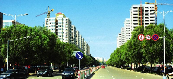 吐血整理干货满满建议收藏,吐血整理的6条建议