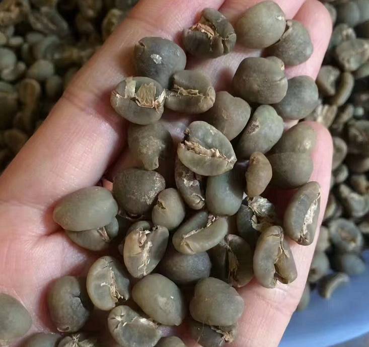 单品咖啡和意式咖啡,咖啡品种科普