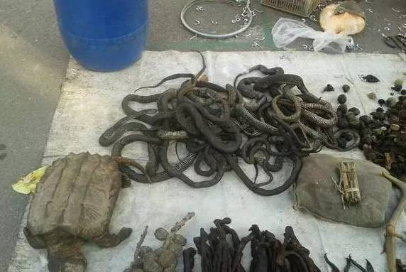 柳州警方最新骗局,柳州市老年人传销骗局举报