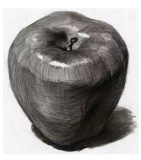 素描静物不会默写,素描不会画光影怎么办