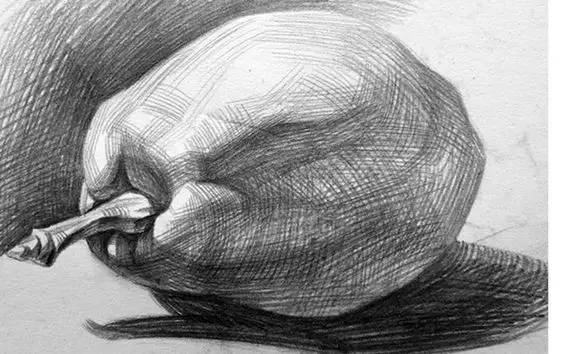 素描静物不会默写,素描不会画光影怎么办