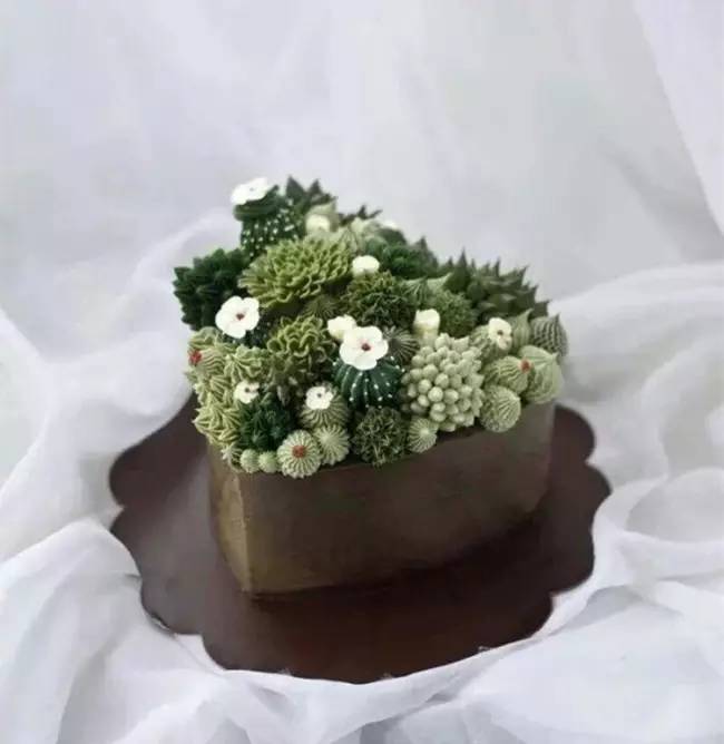 为什么韩国的多肉出名,韩国多肉为什么那么美