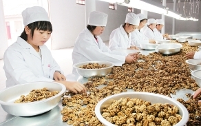 陇南市现代农业,加大投入力度促进农业高质量发展