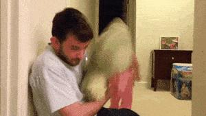 你们几个没氪金的，边儿待着去