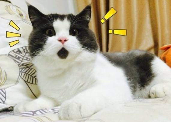 一岁男孩吃了它后停止发育,男孩吃鸡蛋太多却全身发青