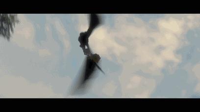 驯龙高手原片,关于电影驯龙高手