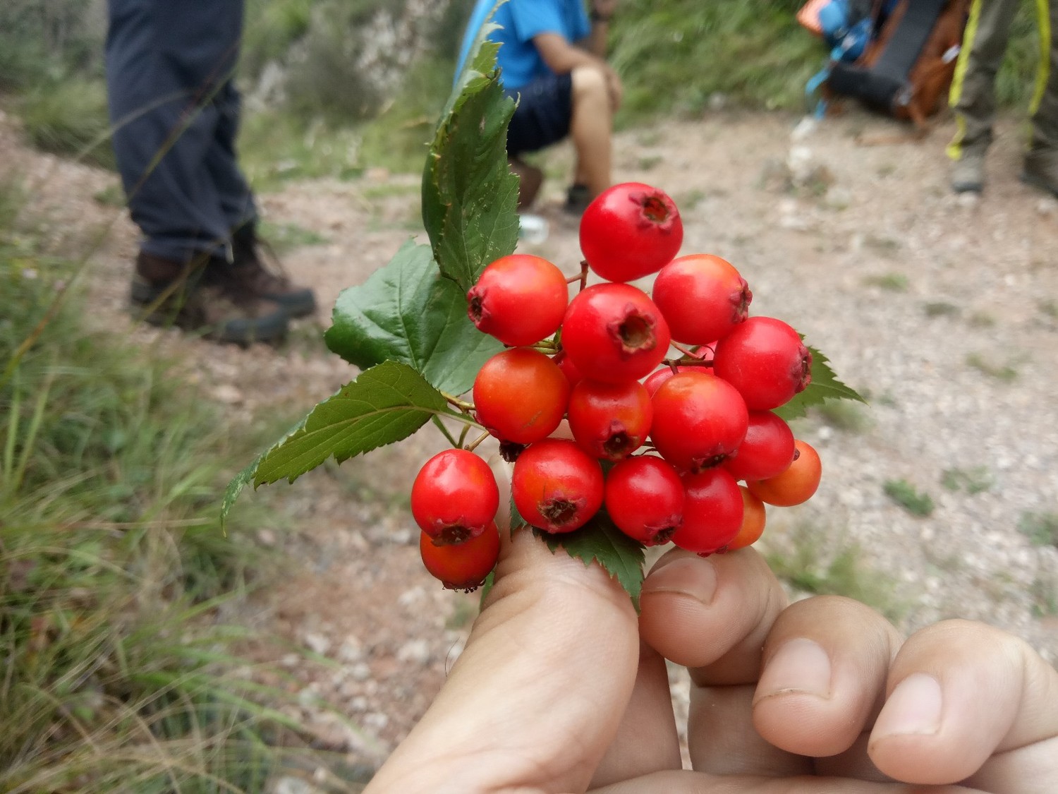 龙聚山庄南区,龙聚山庄全景