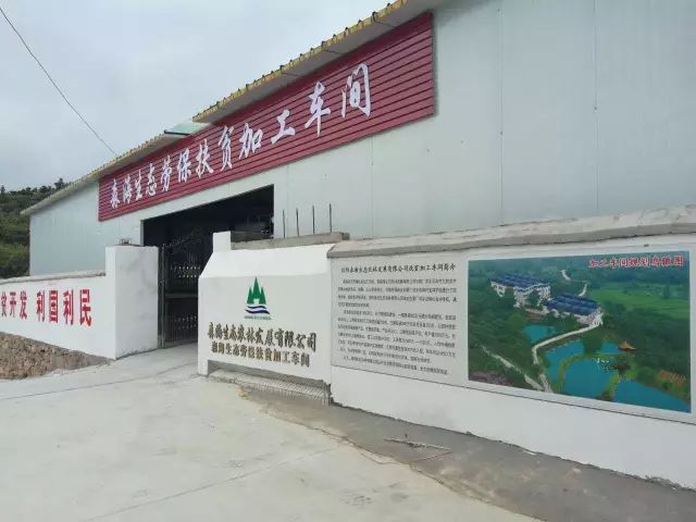 红色传奇诵读美篇,红色传奇诗