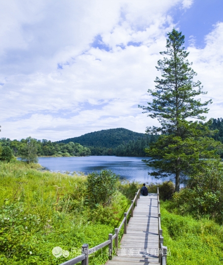火山口探秘完整视频,镜泊湖地下森林火山口