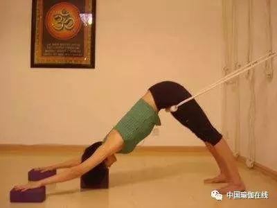 经期可以练瑜伽下犬式么,龙式瑜伽经期可以练吗