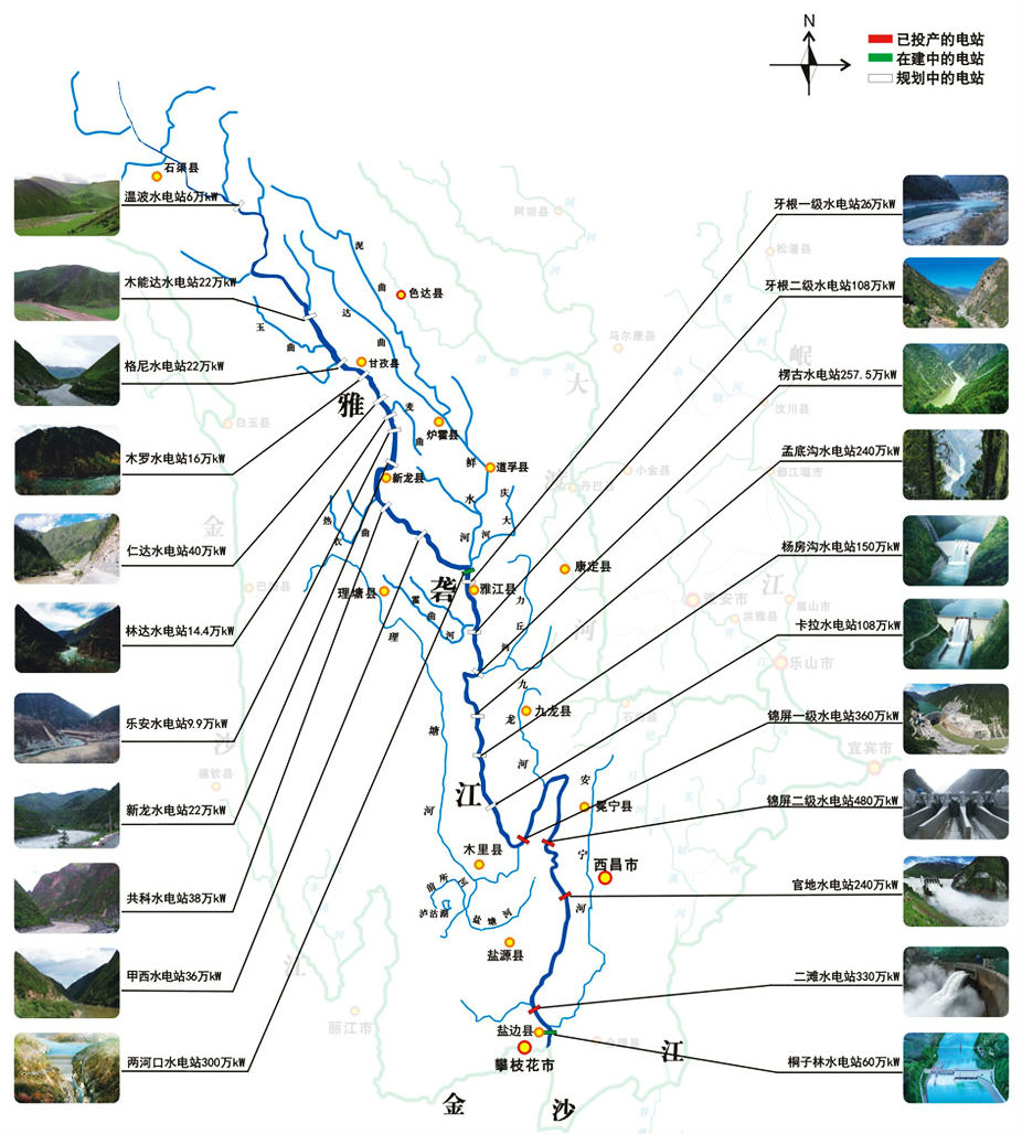 长江的各种濒危物种,长江生物多样性现状