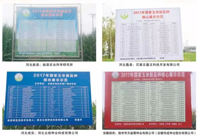 2019年农业部推广的玉米新品种,2022年国家审定的玉米新品种