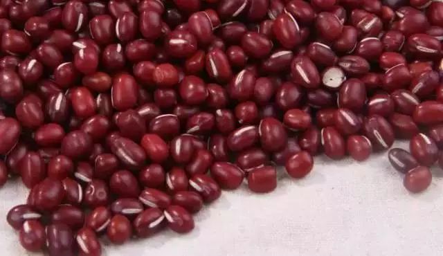 菘蓝花开｜赤小豆——不为相思