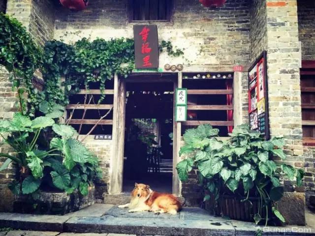 广西最奇特的民宿,广西巴马百魔洞包吃住的民宿