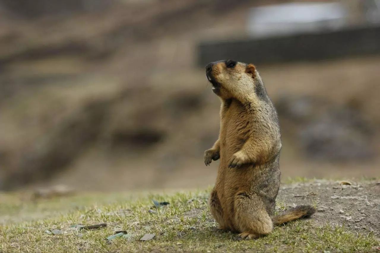 旅游攻略安静,人少风景好的偏冷门旅游地
