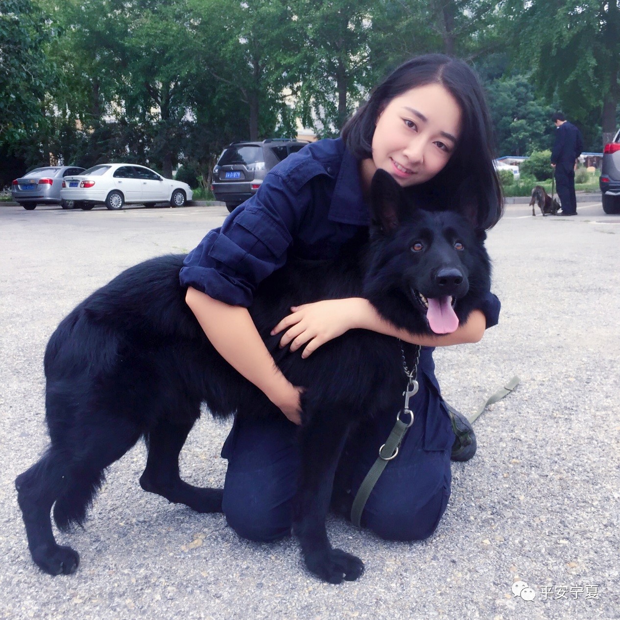 瀹佸鐙楅槦,瀹佸鐙楃嫍澶ч槦