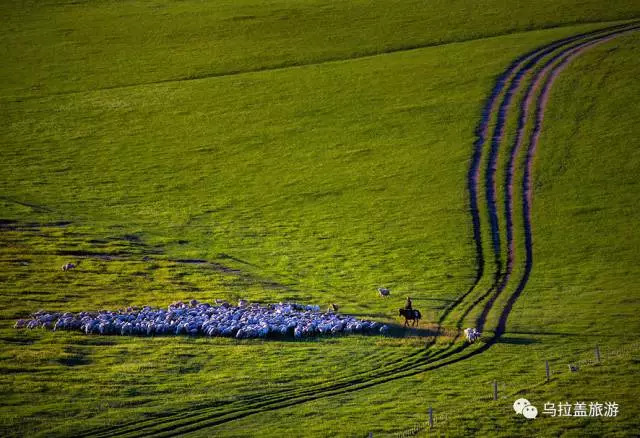 乌拉盖又叫什么,乌拉盖全称