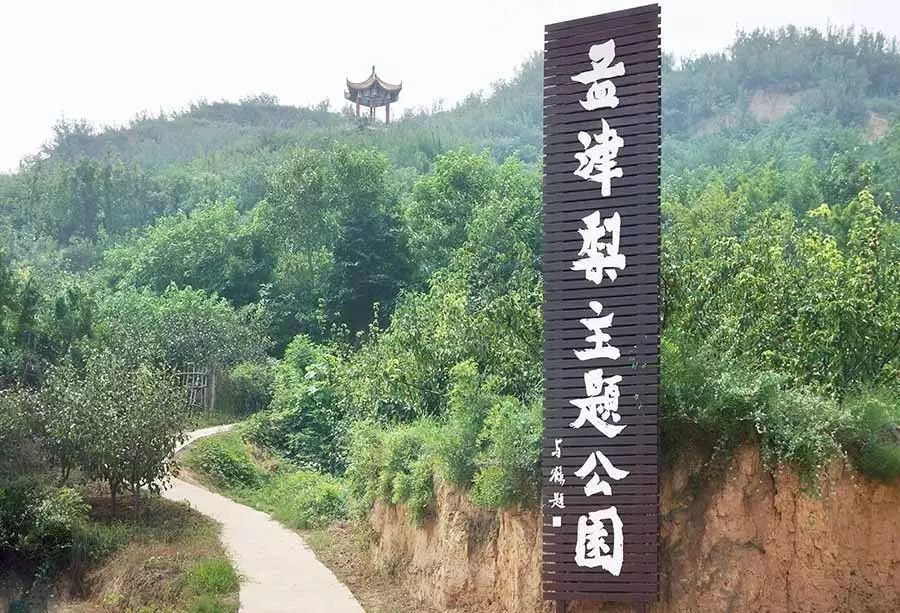 孟津土特产有哪些图片和名字,孟津特产必买清单