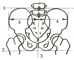 第917期｜骨架与平衡！人体架子是练好太极拳的大问题（推荐阅读）