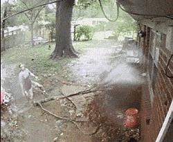 你们几个没氪金的，边儿待着去