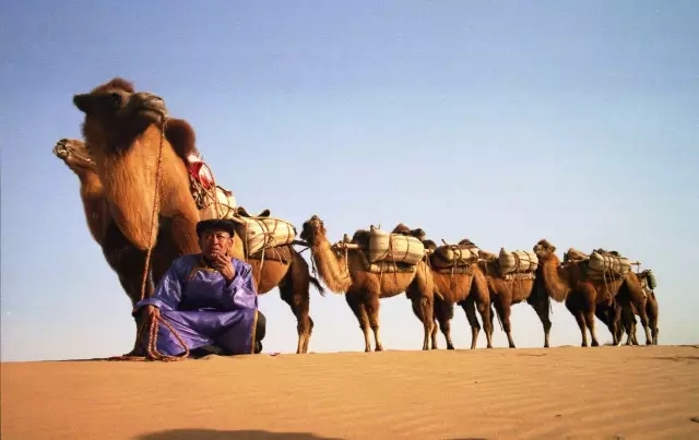 苍天圣地阿拉善全景图,苍天圣地阿拉善左旗