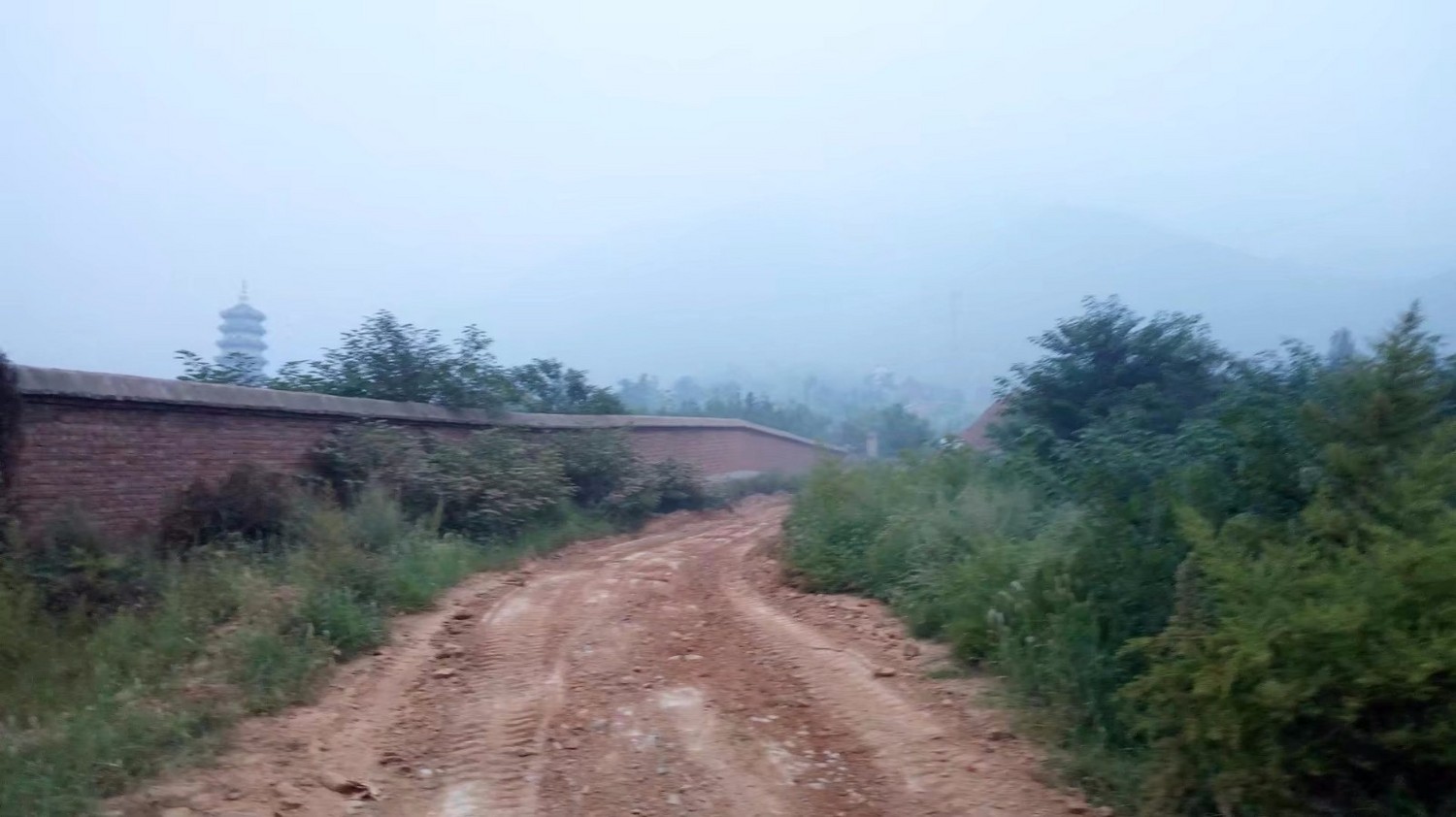 龙泉寺山小环穿——与教师一起爬山庆祝教师节