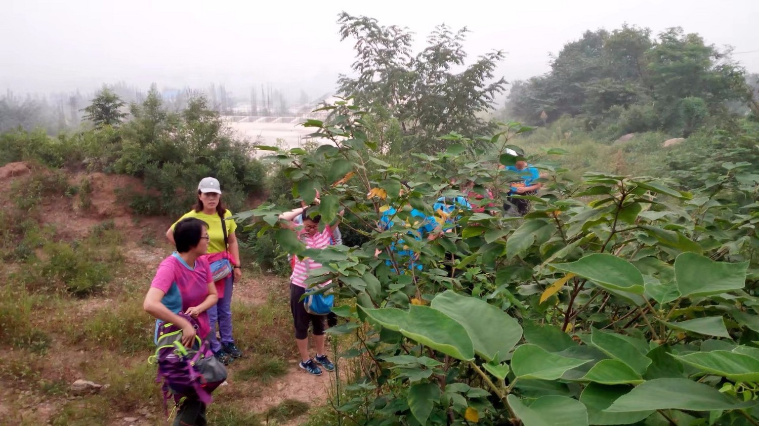 龙泉寺山小环穿——与教师一起爬山庆祝教师节