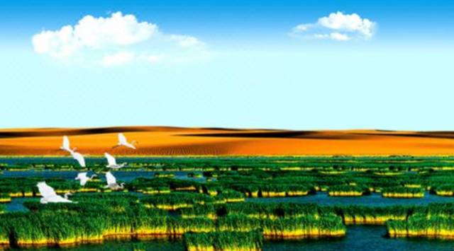 五一期间银川有哪些免费景点,银川四月免门票的地方