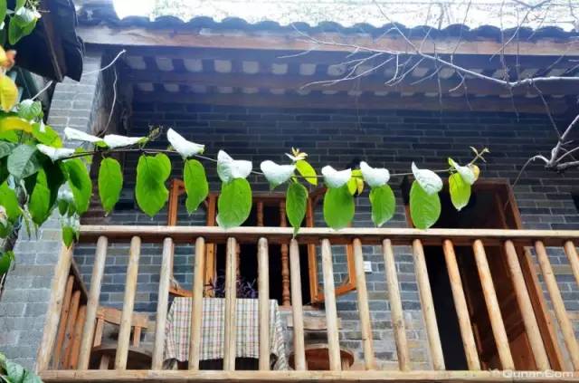 广西最奇特的民宿,广西巴马百魔洞包吃住的民宿