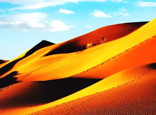 五一期间银川有哪些免费景点,银川四月免门票的地方