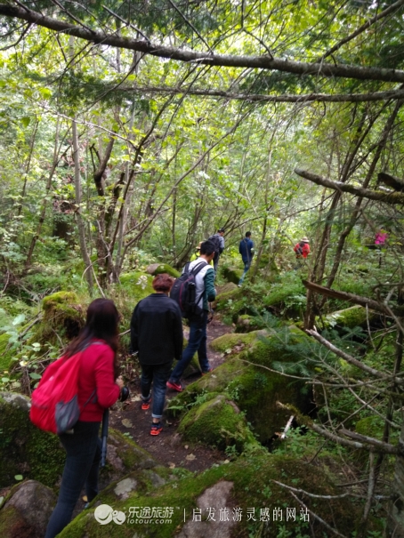 火山口探秘完整视频,镜泊湖地下森林火山口