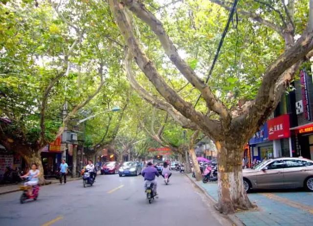 「镇深度」如何只用30元，过一天地道的镇江慢生活！