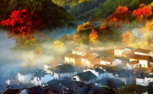 五一期间银川有哪些免费景点,银川四月免门票的地方