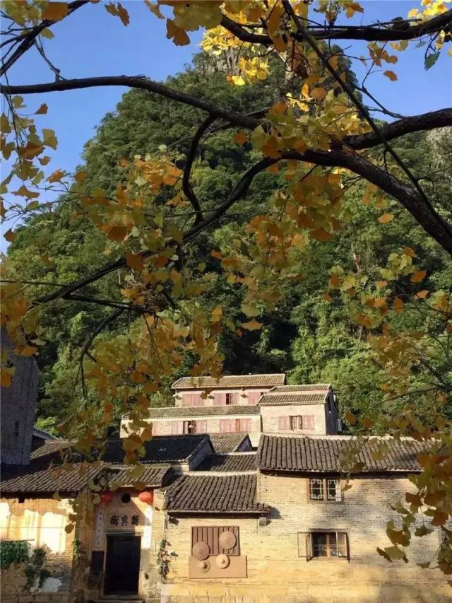 广西最奇特的民宿,广西巴马百魔洞包吃住的民宿