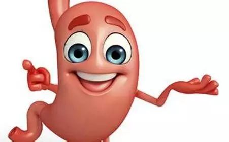 胃不好能吃榴莲吗,胃不好吃什么零食