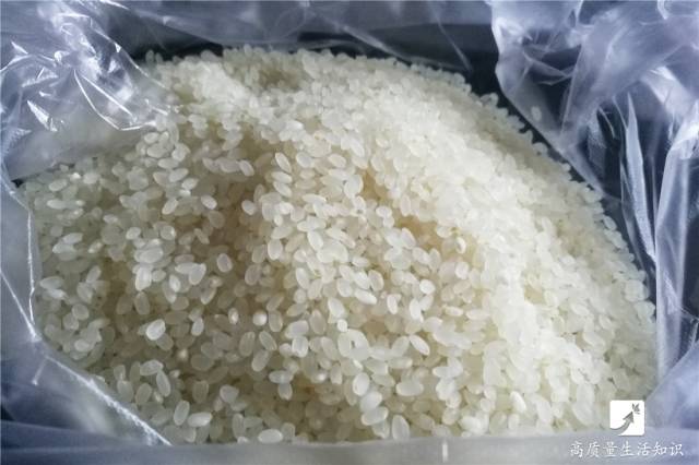 如何识别陈米和新米,陈米和新米的区别视频