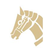 《战意》二测新增兵种、*器武**、器械资料一览