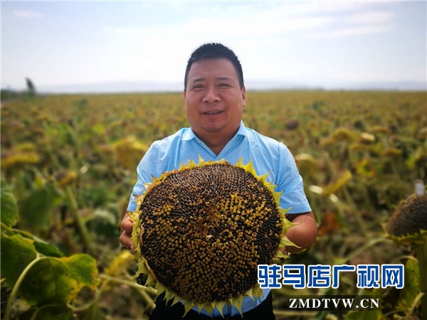 今秋新果实用心做好仁的本土品牌“李三瓜子”在中国农洽会上日均销售额突破5万元